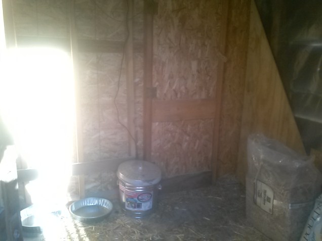 The other side of the new chicken room - the door shown here leads to the back room (the adult chicken's part).