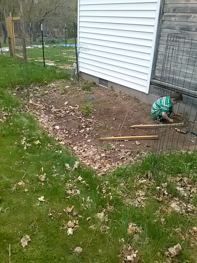 Here's what the back garden bed looked like before we started on it tonight.