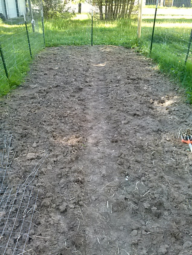The long view of our new fenced in garden bed