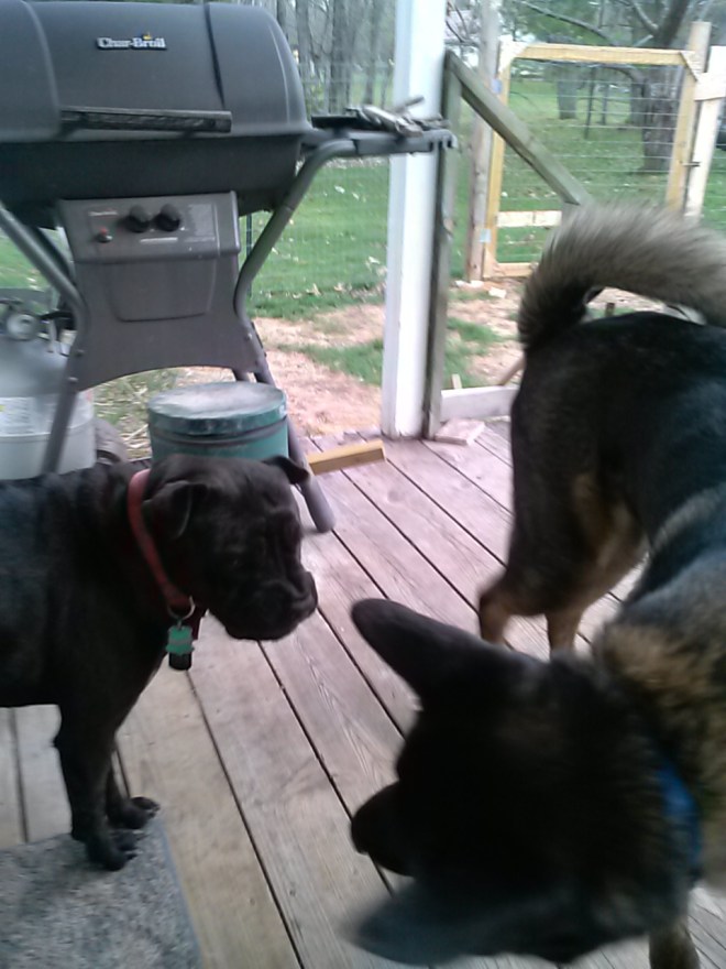 Playing - Downey was growling at Atat here.