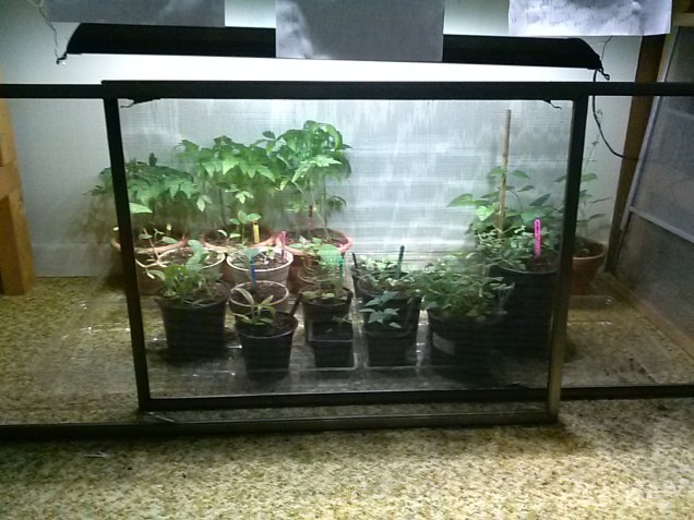 My setup with the screens in place.