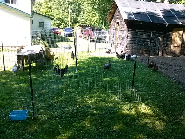 Another view of the new fence