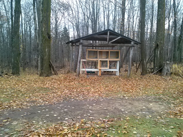 Here is the view from our side door - we can just look out and make sure everything is ok at night. We have a dimmed light on all the time, and a motion sensor in case predators come in the yard to check them out. Plus our dogs would bark at anything out there.