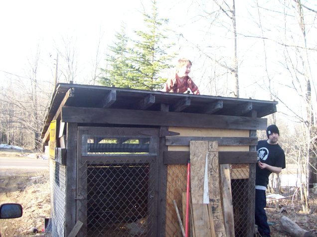 my silly family and the duck house