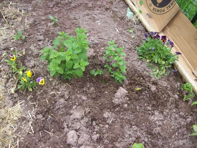 leftovers from last year