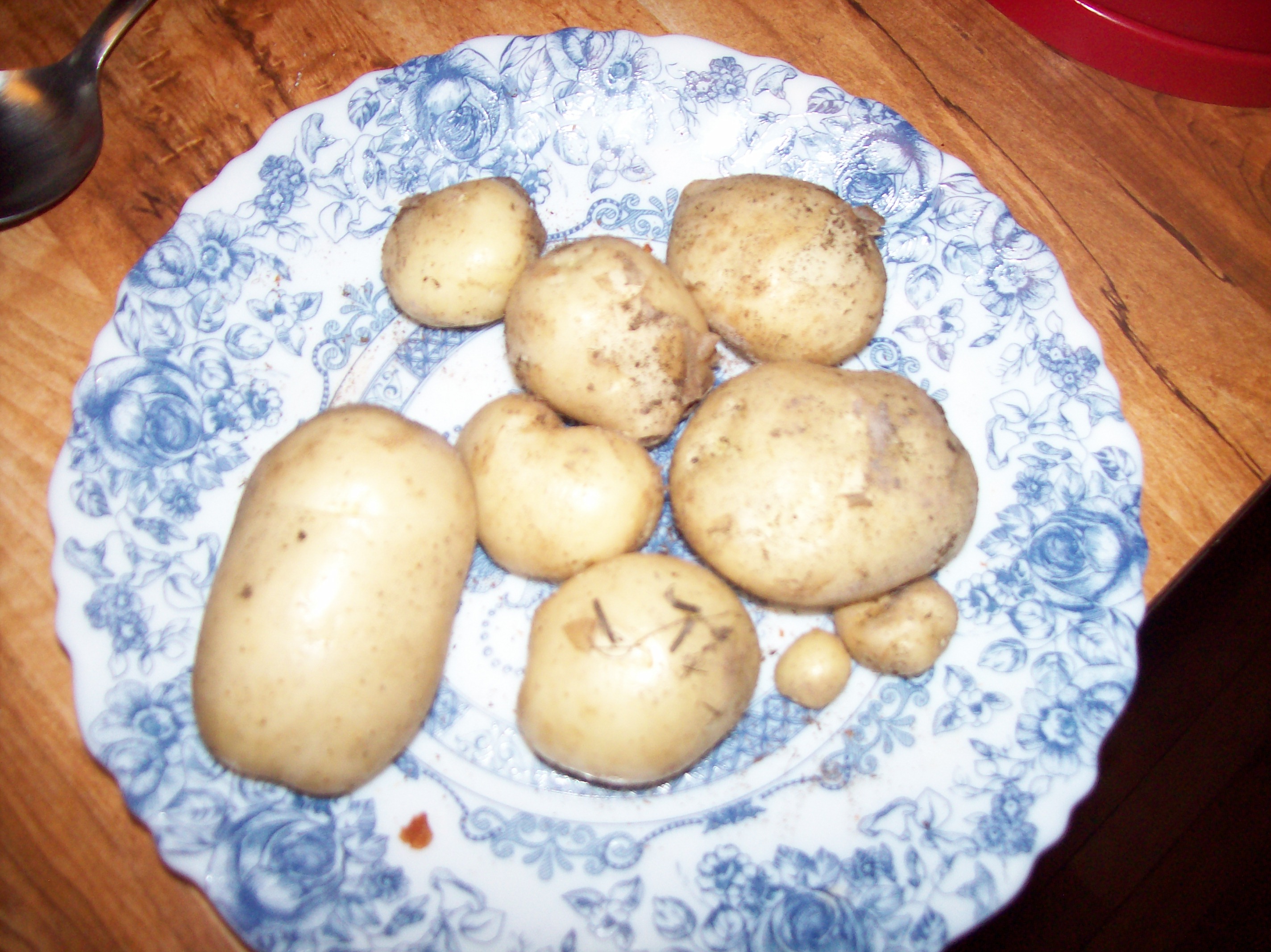 tiny potatos