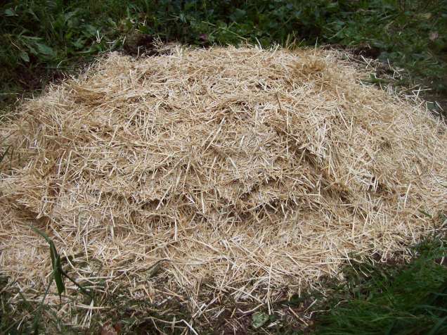 straw cover