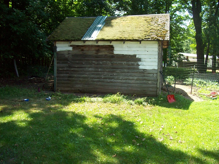 chicken house before