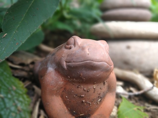 IMG_20200726_130520967_PORTRAIT