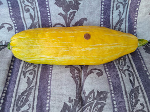 IMG_20200731_185227741